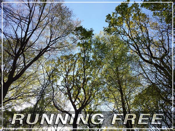Running Free - Frei Joggen - Frei Laufen